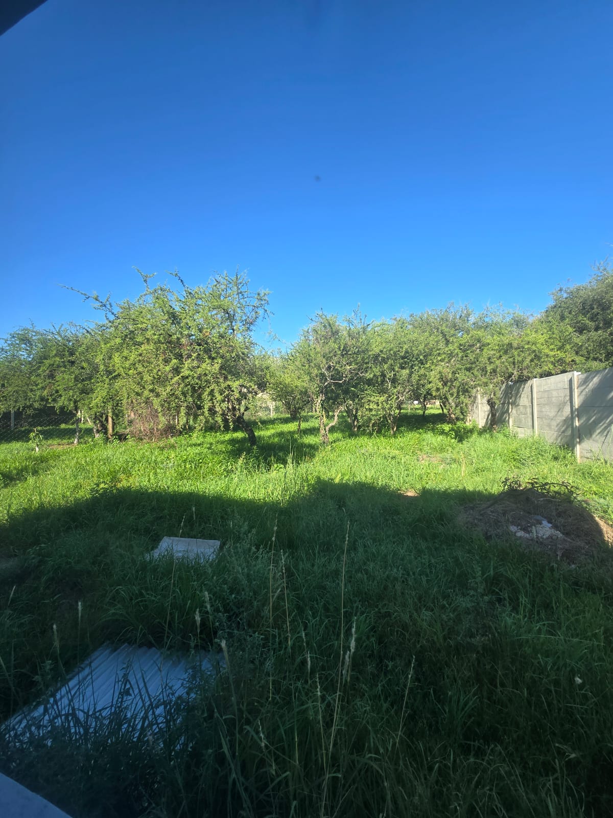 CASA MINIMALISTA EN B° LOS TRONCOS