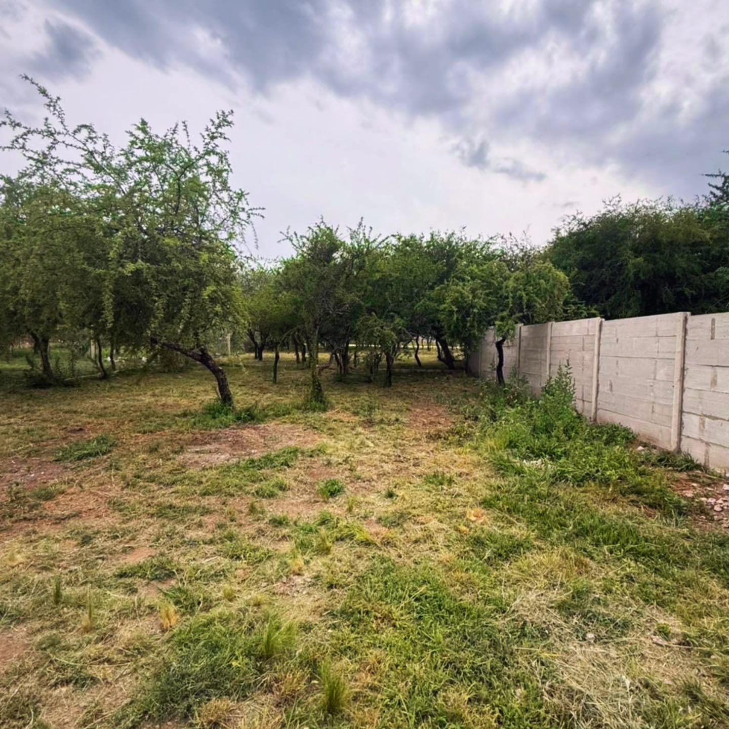 CASA MINIMALISTA EN B° LOS TRONCOS