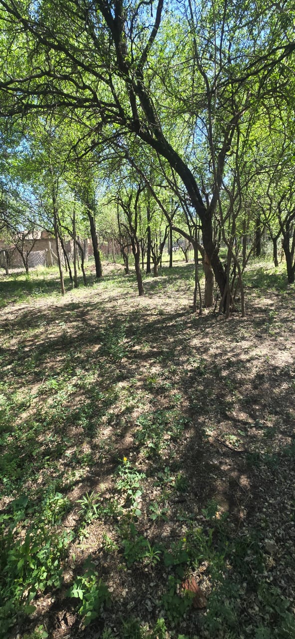 CASA MINIMALISTA EN MERLO B LAS MAGDALENAS