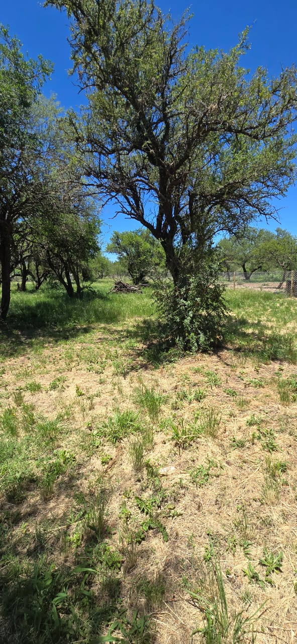 CASA EN LOS MOLLES A ESTRENAR