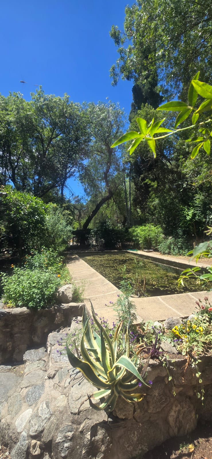 DOS CASAS EN PIEDRA BLANCA ARRIBA | MERLO