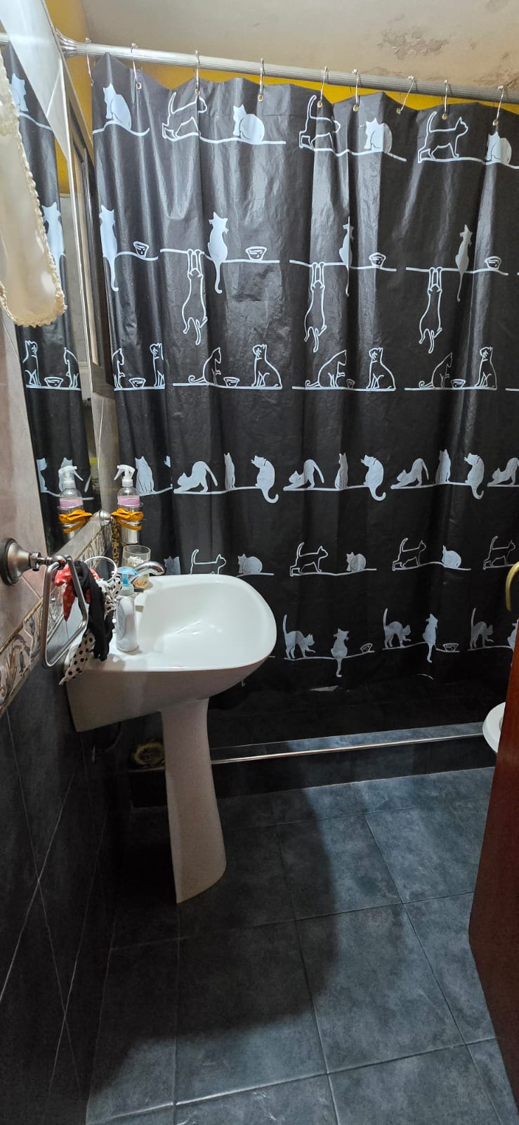 CASA Y DEPARTAMENTO EN RINCON DEL ESTE | MERLO