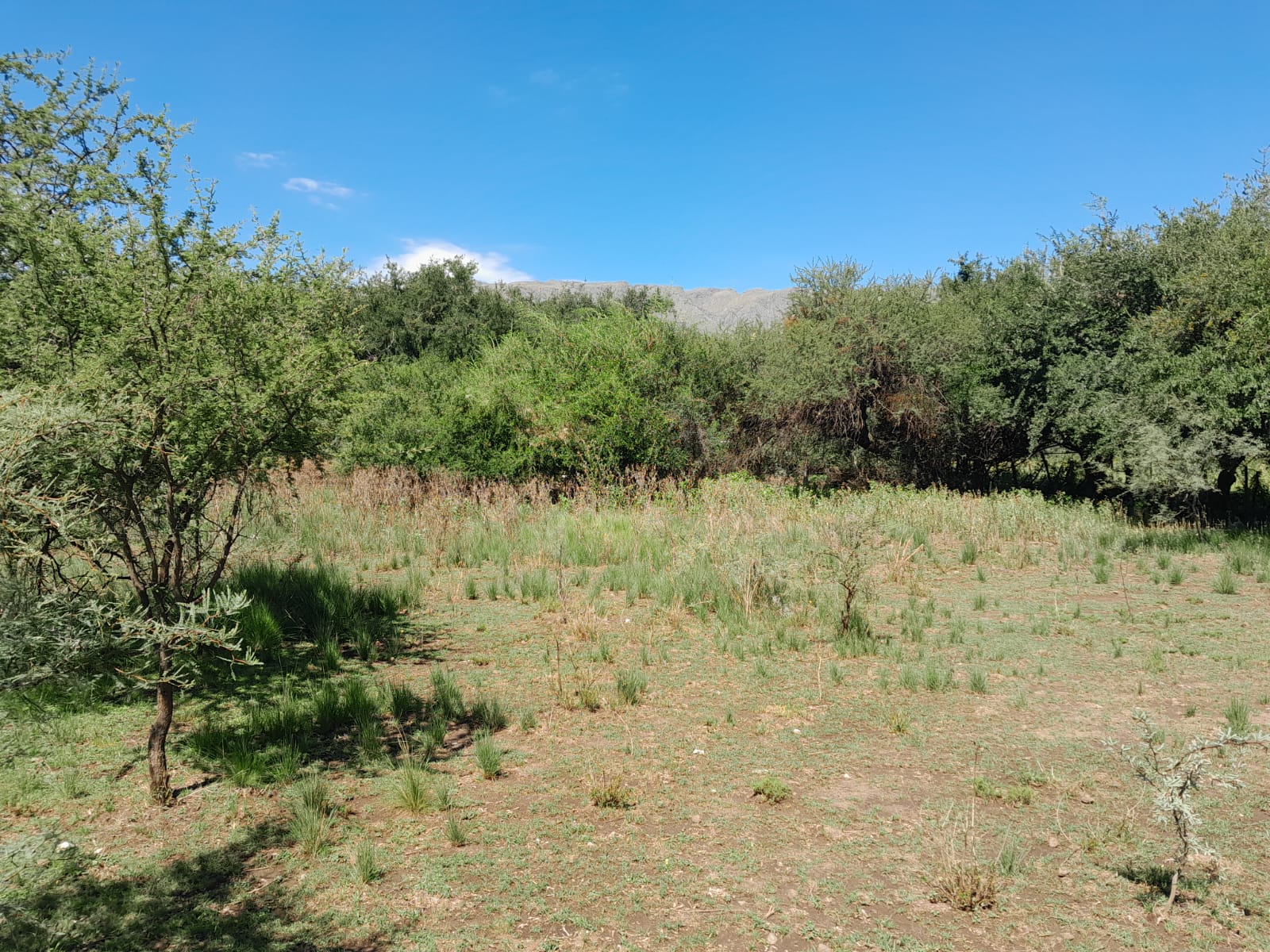 CASA A TERMINAR EN CARPINTERIA ARRIBA