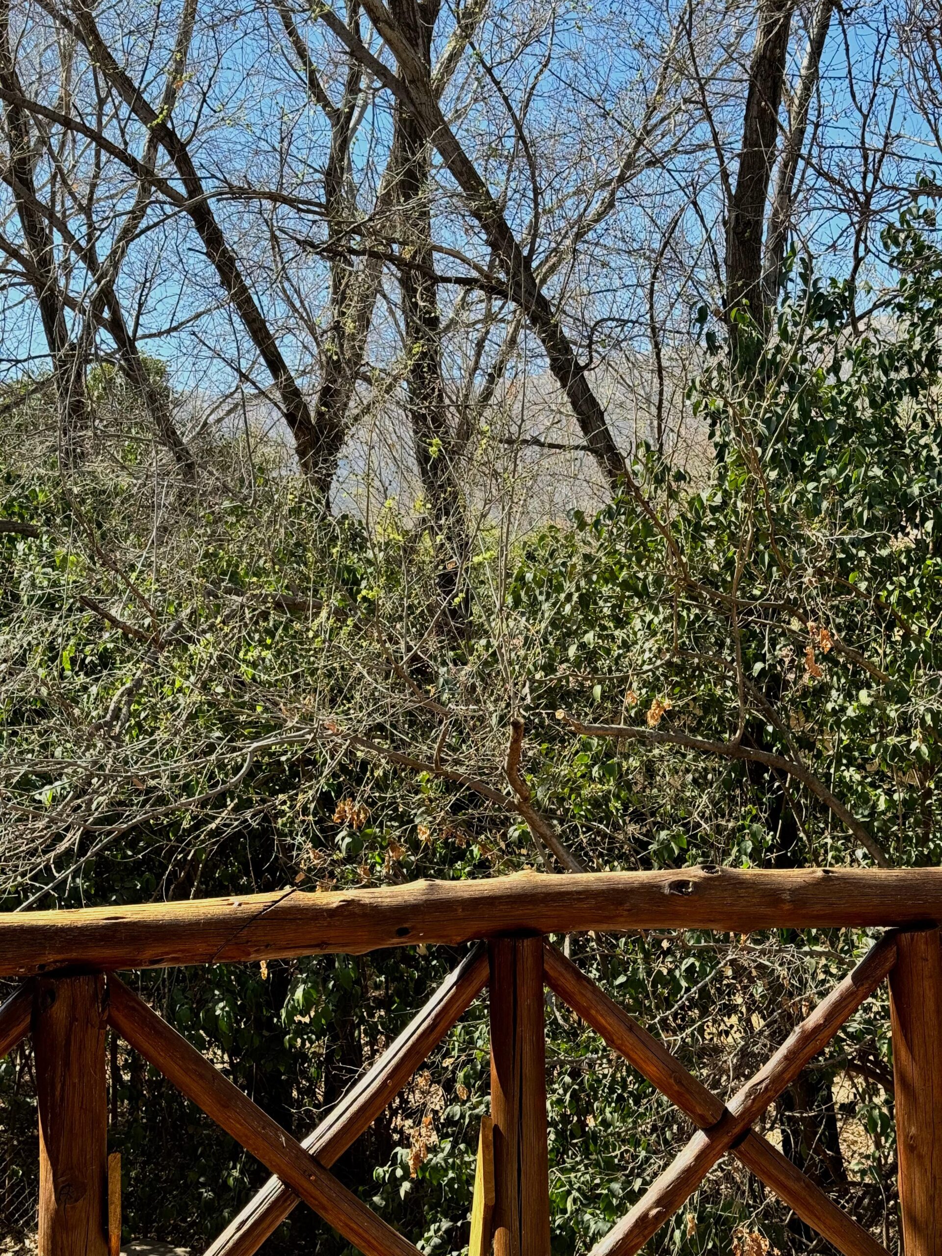 2 CABAÑAS EN EL CENTRO DE CARPINTERIA