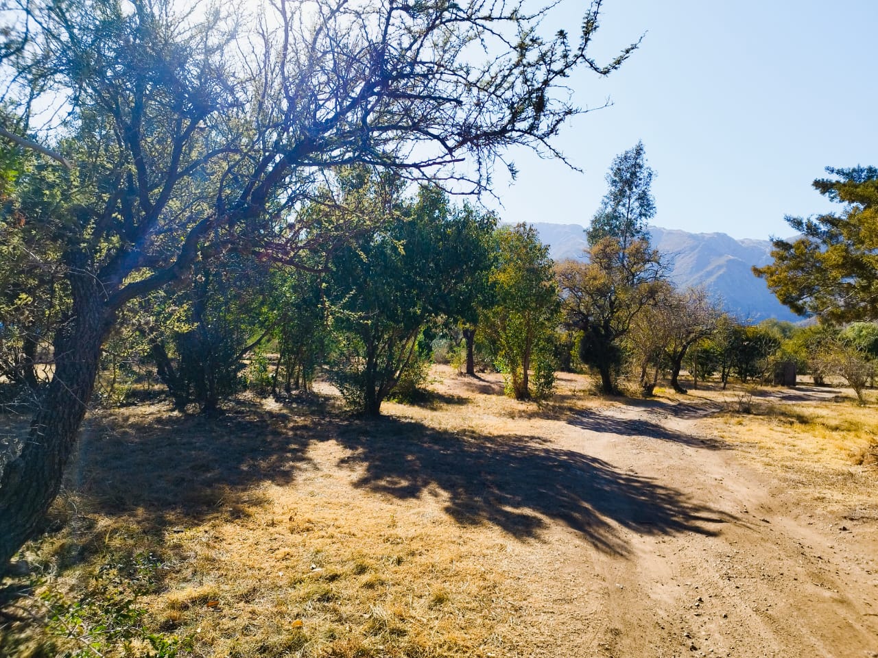 HERMOSA PROPIEDAD EN VILLA ELENA