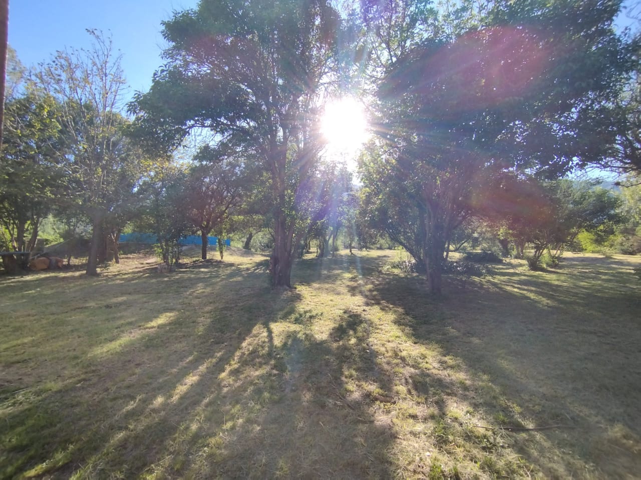 HERMOSA PROPIEDAD EN VILLA ELENA