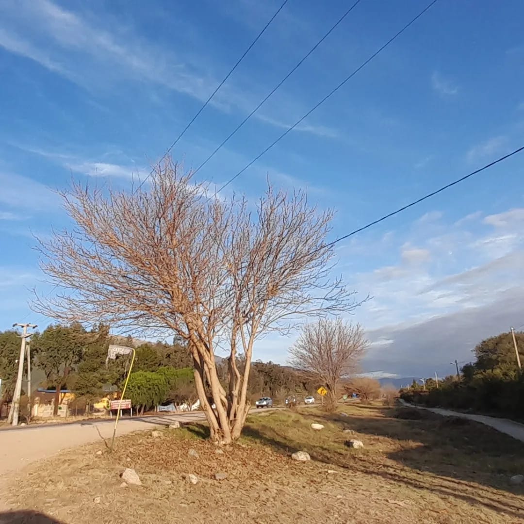 CASA CON UBICACIÓN ESTRATÉGICA EN LOS MOLLES