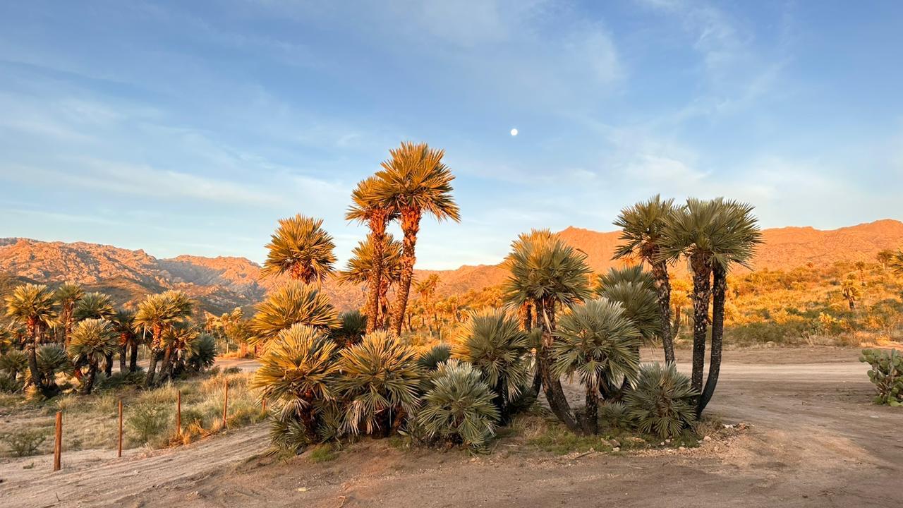 CASA MINIMALISTA EN PAPAGAYOS | ALTOS DEL PALMAR