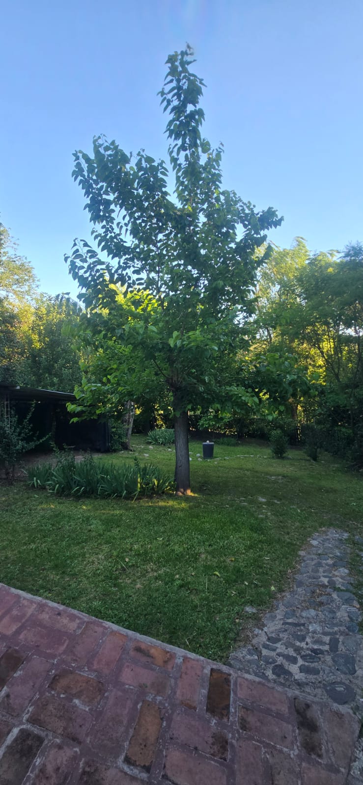 CABAÑA EN PH A METROS DE LA ENTRADA DEL CHUMAMAYA | MERLO