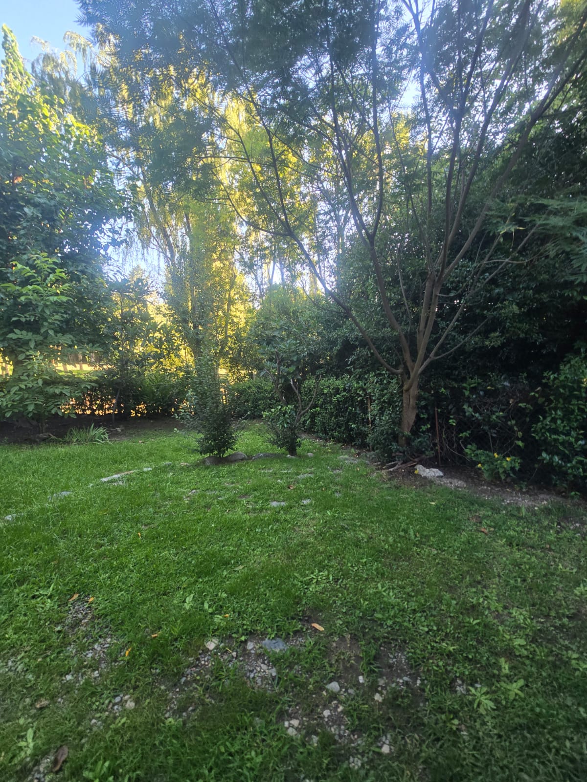 CABAÑA EN PH A METROS DE LA ENTRADA DEL CHUMAMAYA | MERLO