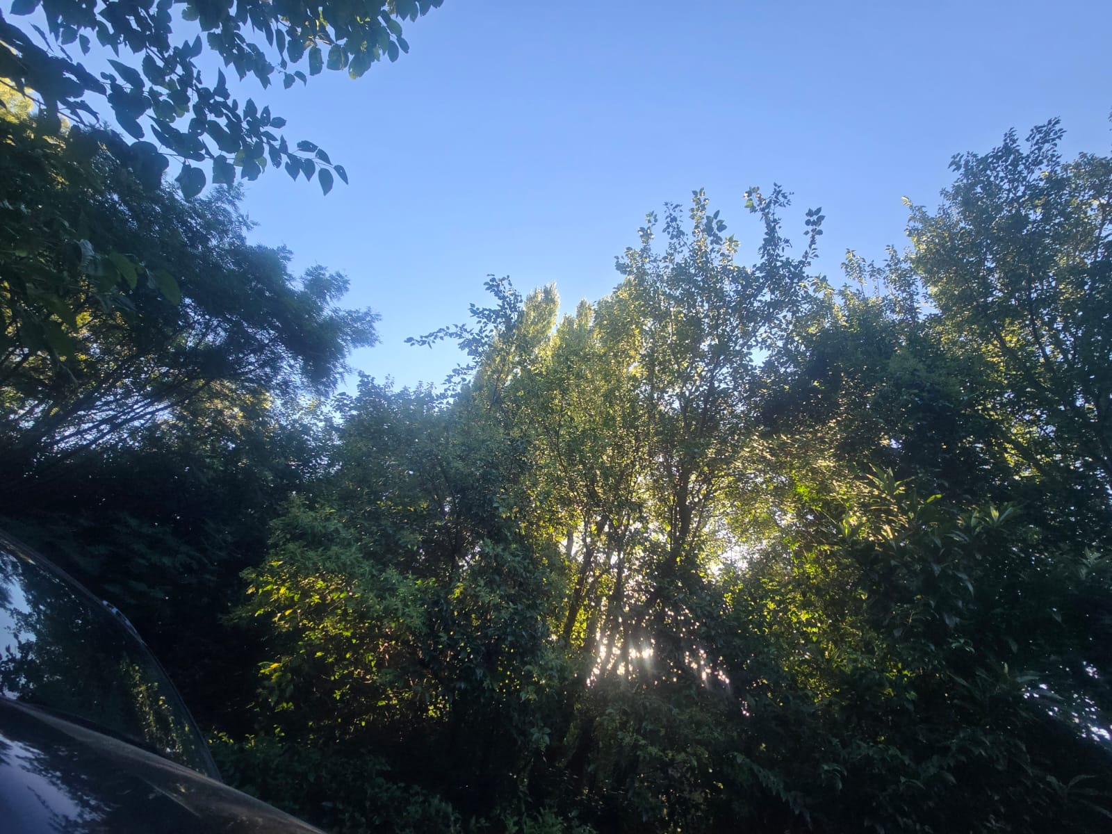 CABAÑA EN PH A METROS DE LA ENTRADA DEL CHUMAMAYA | MERLO