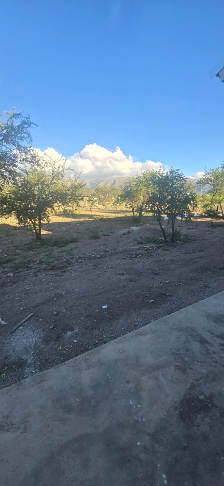 INCREIBLE CASA MINIMALISTA EN LA ARBOLADA | MERLO