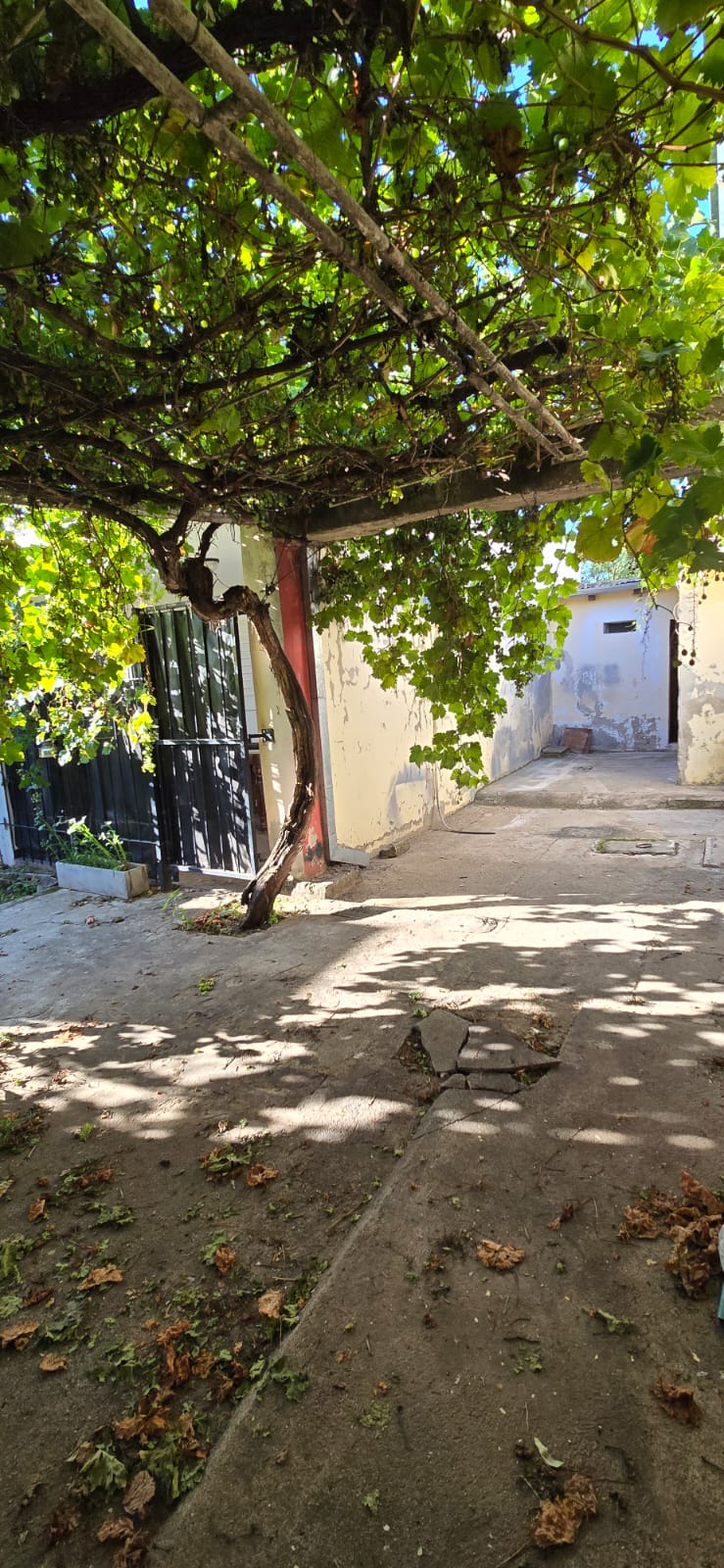 OPORTUNIDAD COMERCIAL SOBRE AV LOS ALMENDROS | MERLO