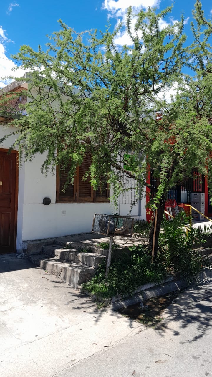 OPORTUNIDAD COMERCIAL SOBRE AV LOS ALMENDROS | MERLO