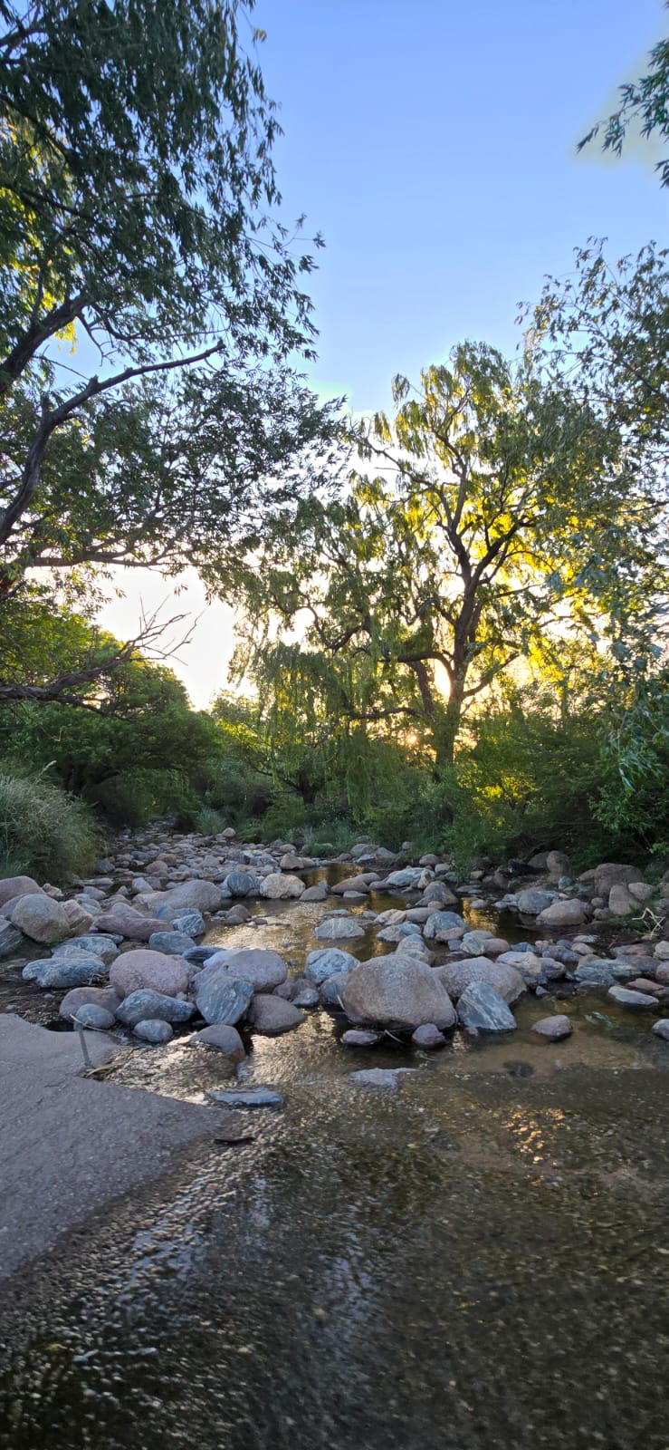 CHALET A METROS DEL ARROYO BENITEZ EN CORTADERAS