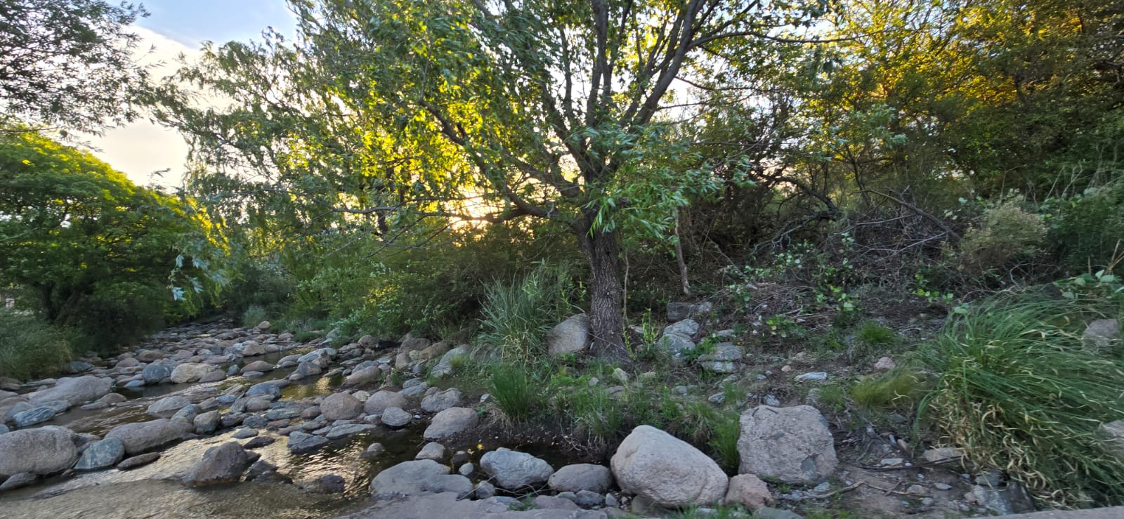 CHALET A METROS DEL ARROYO BENITEZ EN CORTADERAS