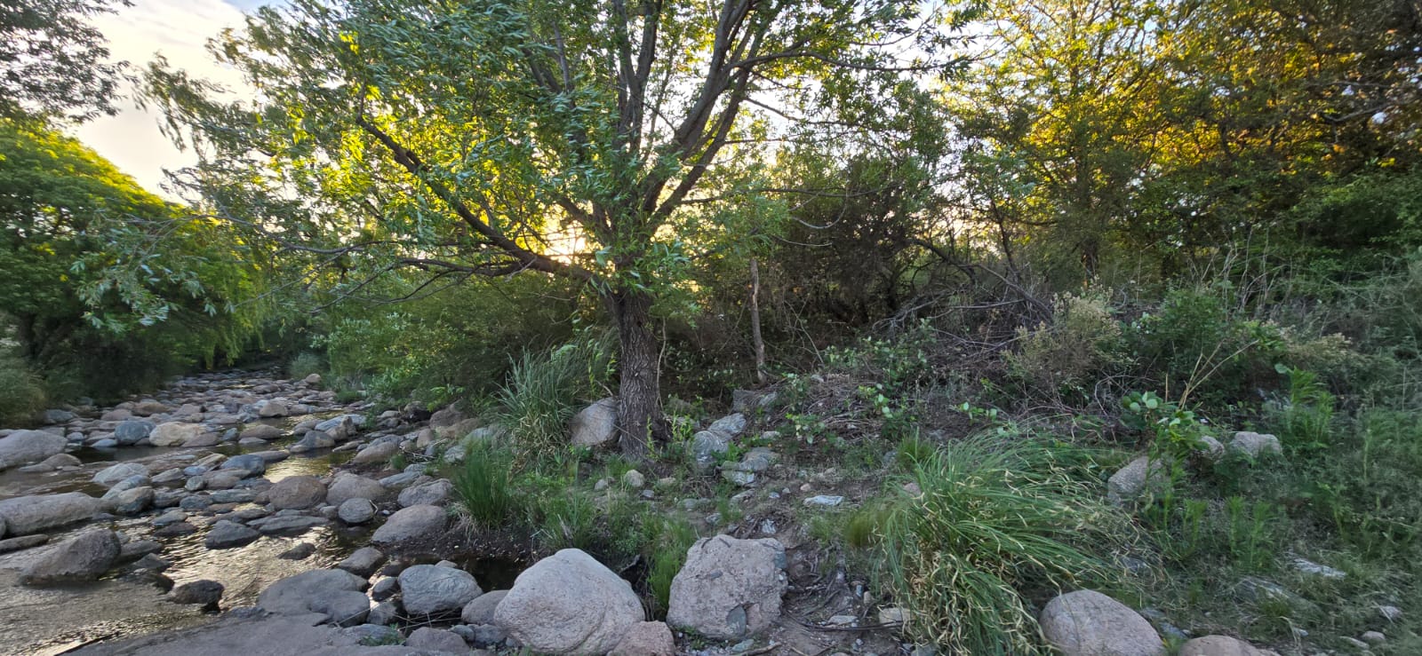 CHALET A METROS DEL ARROYO BENITEZ EN CORTADERAS