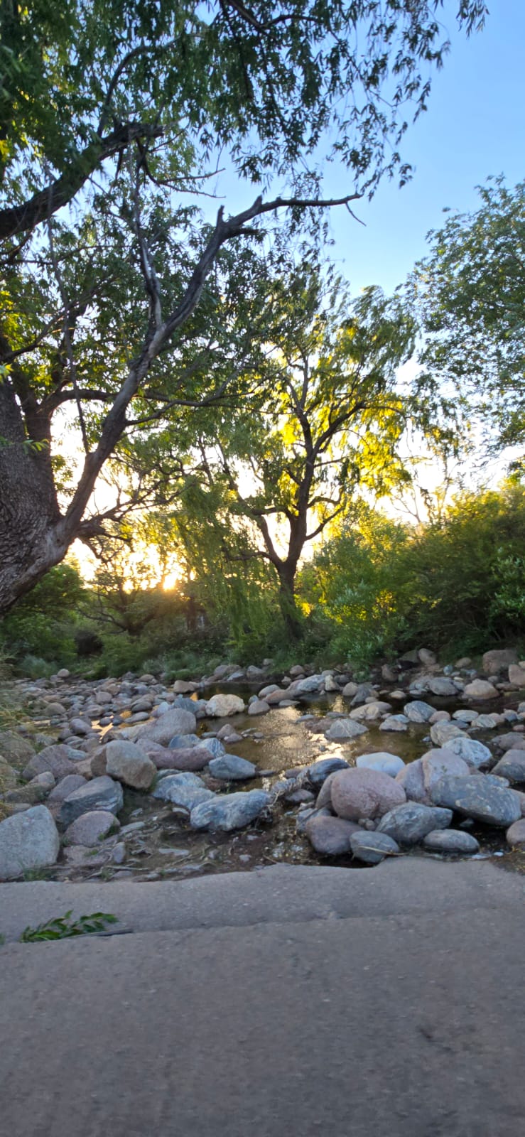 CHALET A METROS DEL ARROYO BENITEZ EN CORTADERAS