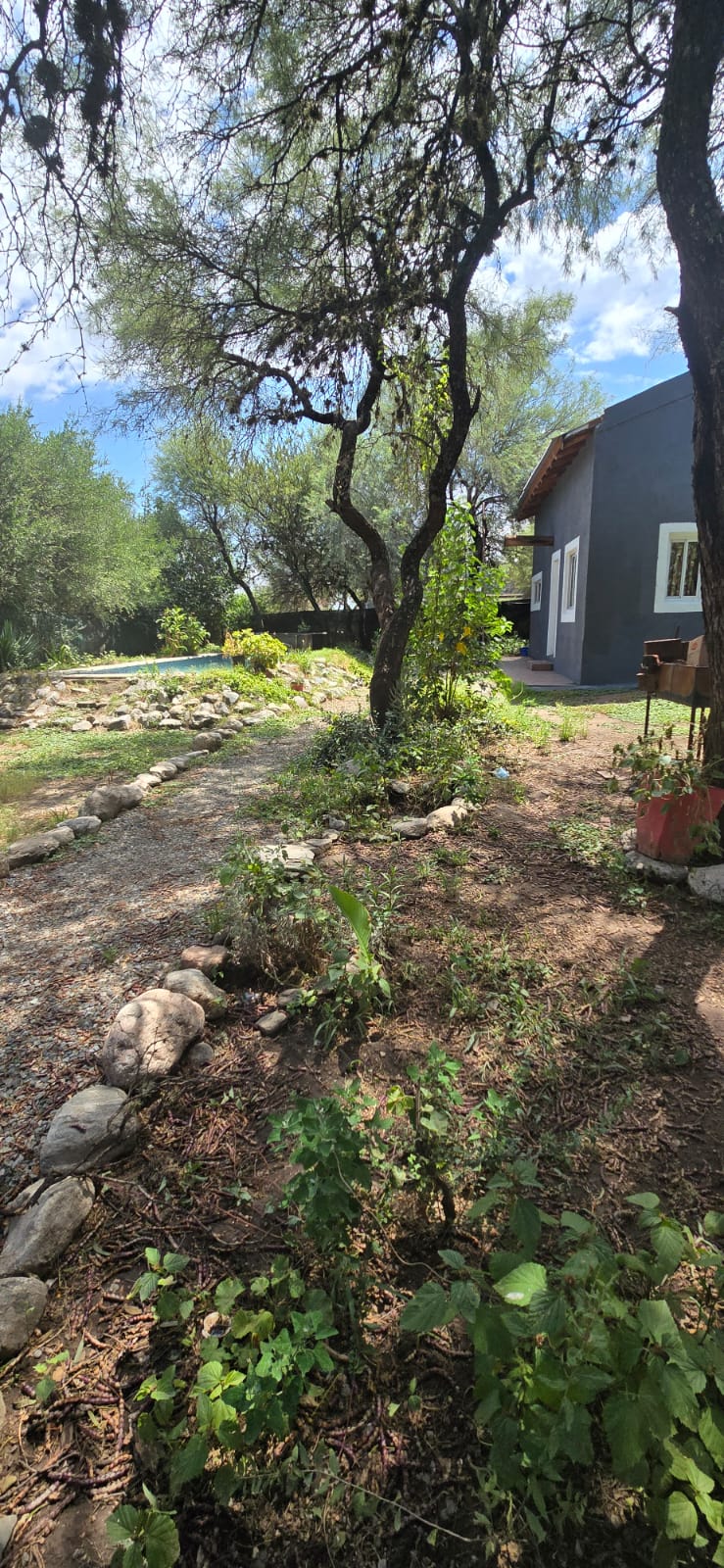 CASA Y DEPARTAMENTO CON PILETA EN CARPINTERIA