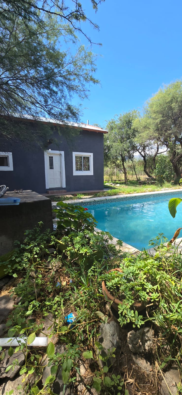 CASA Y DEPARTAMENTO CON PILETA EN CARPINTERIA