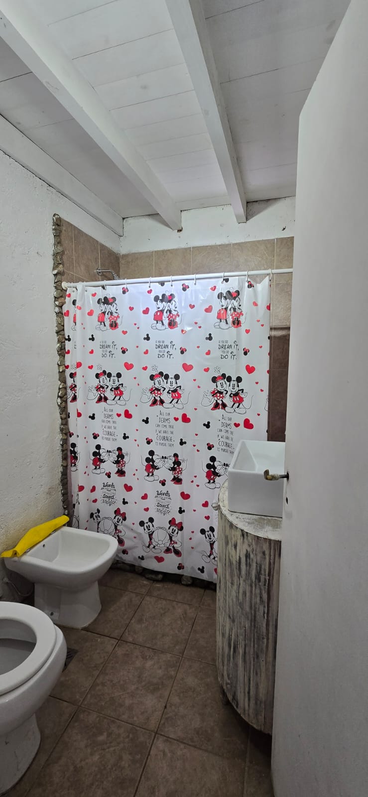 CASA Y DEPARTAMENTO CON PILETA EN CARPINTERIA