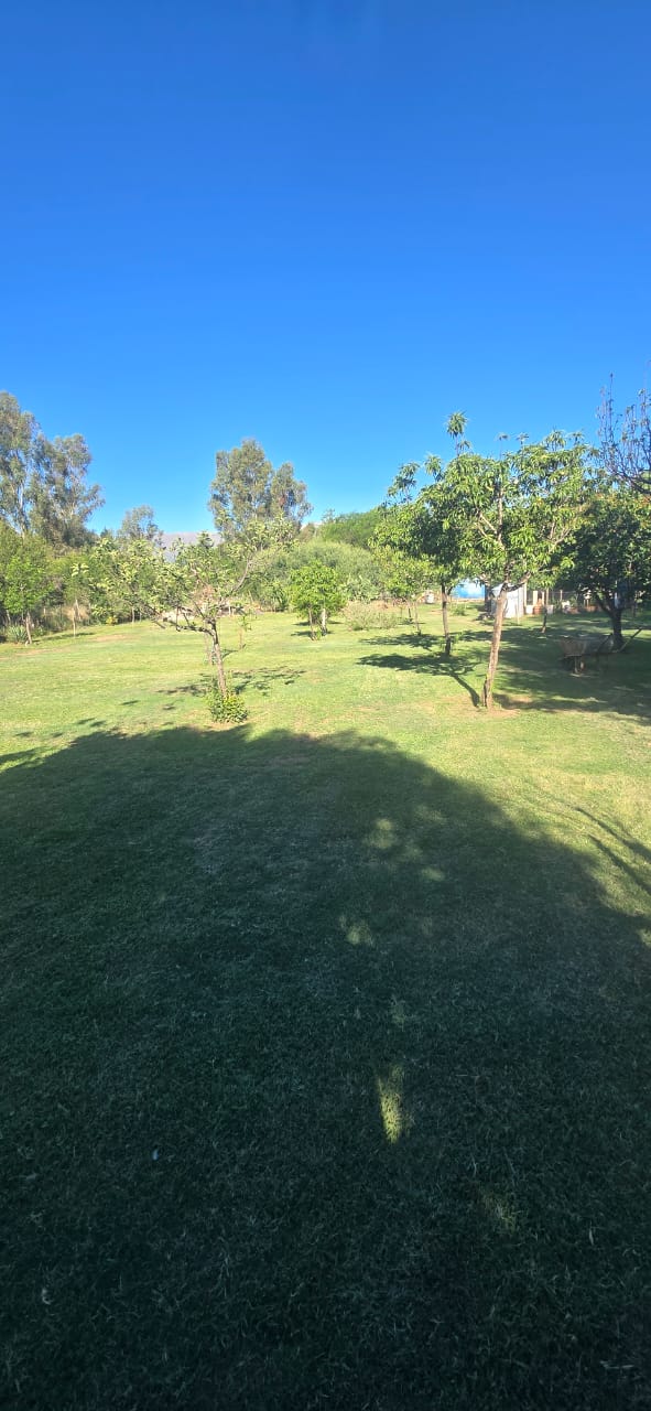 HERMOSA CASA EN LA COLONIA | CARPINTERIA