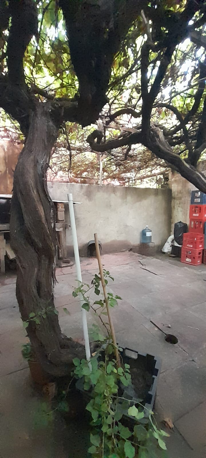 DOS LOCALES MUY COMERCIALES | MERLO