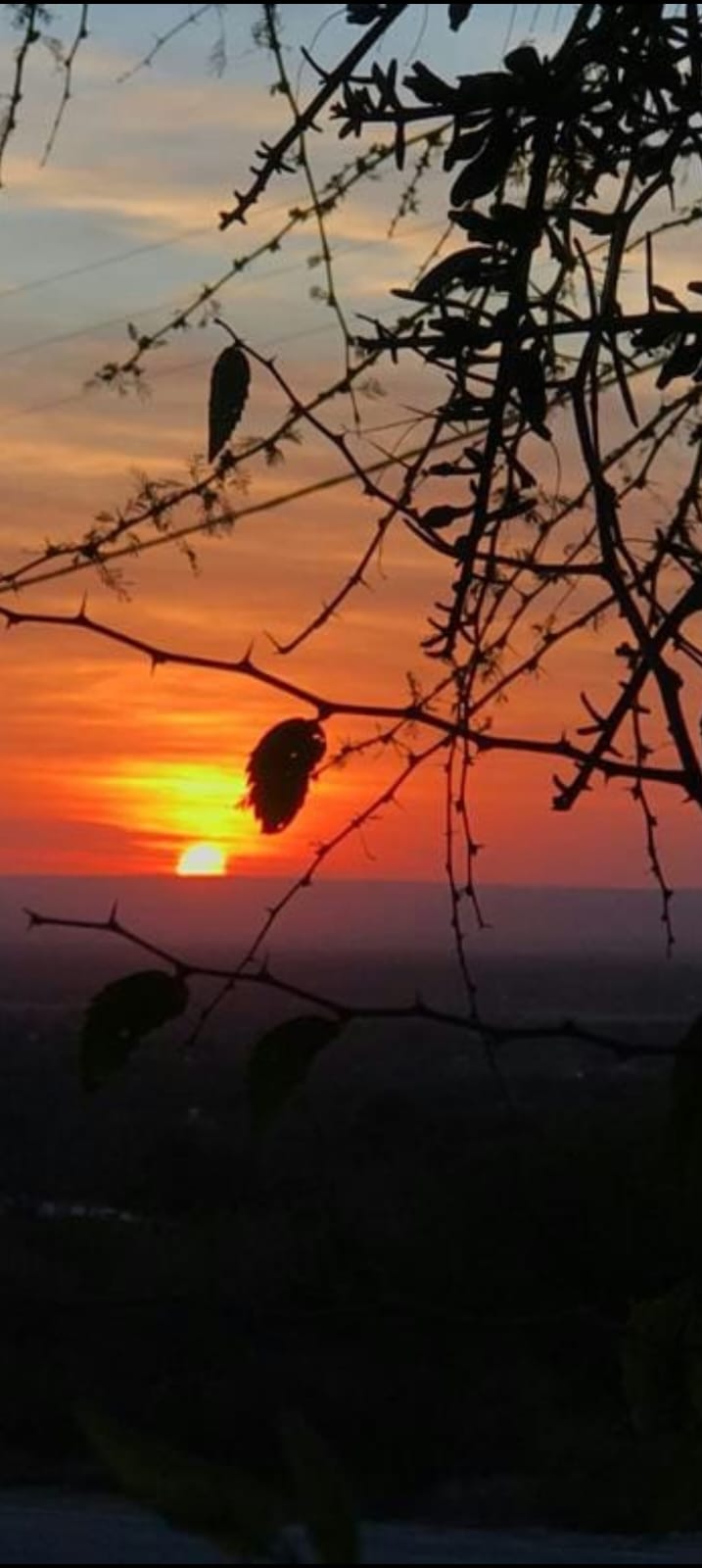 COMPLEJO DE CUATRO CABAÑAS EN ALTOS DE CARPINTERIA