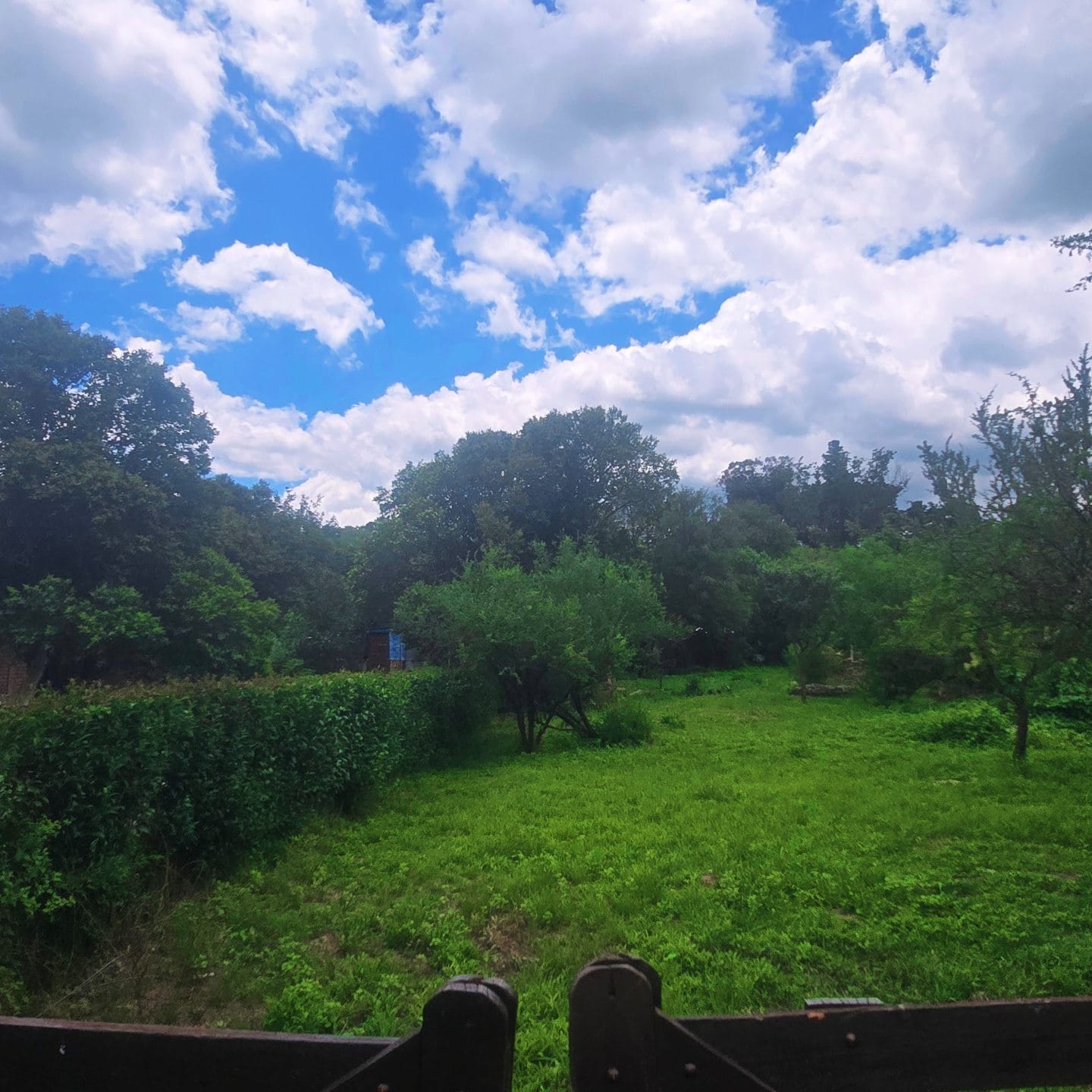 HERMOSO TERRENO EN VENTA – PIEDRA BLANCA ARRIBA | MERLO