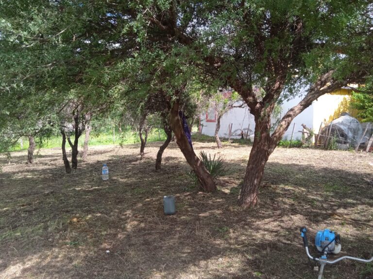 TERRENO DE 600M2 EN PAPAGAYOS