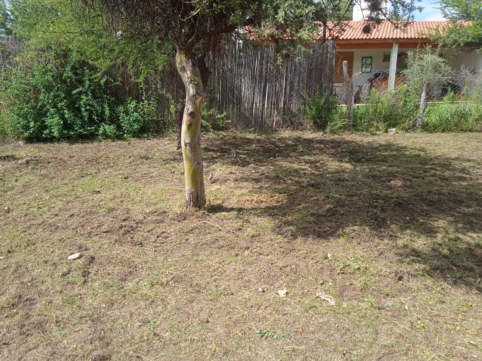 TERRENO DE 600M2 EN PAPAGAYOS