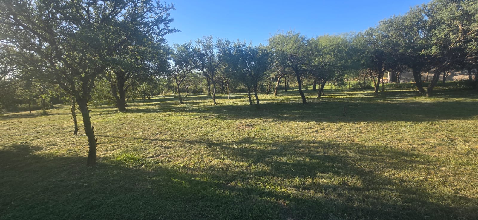 DOS HERMOSOS TERRENOS EN CORTADERAS