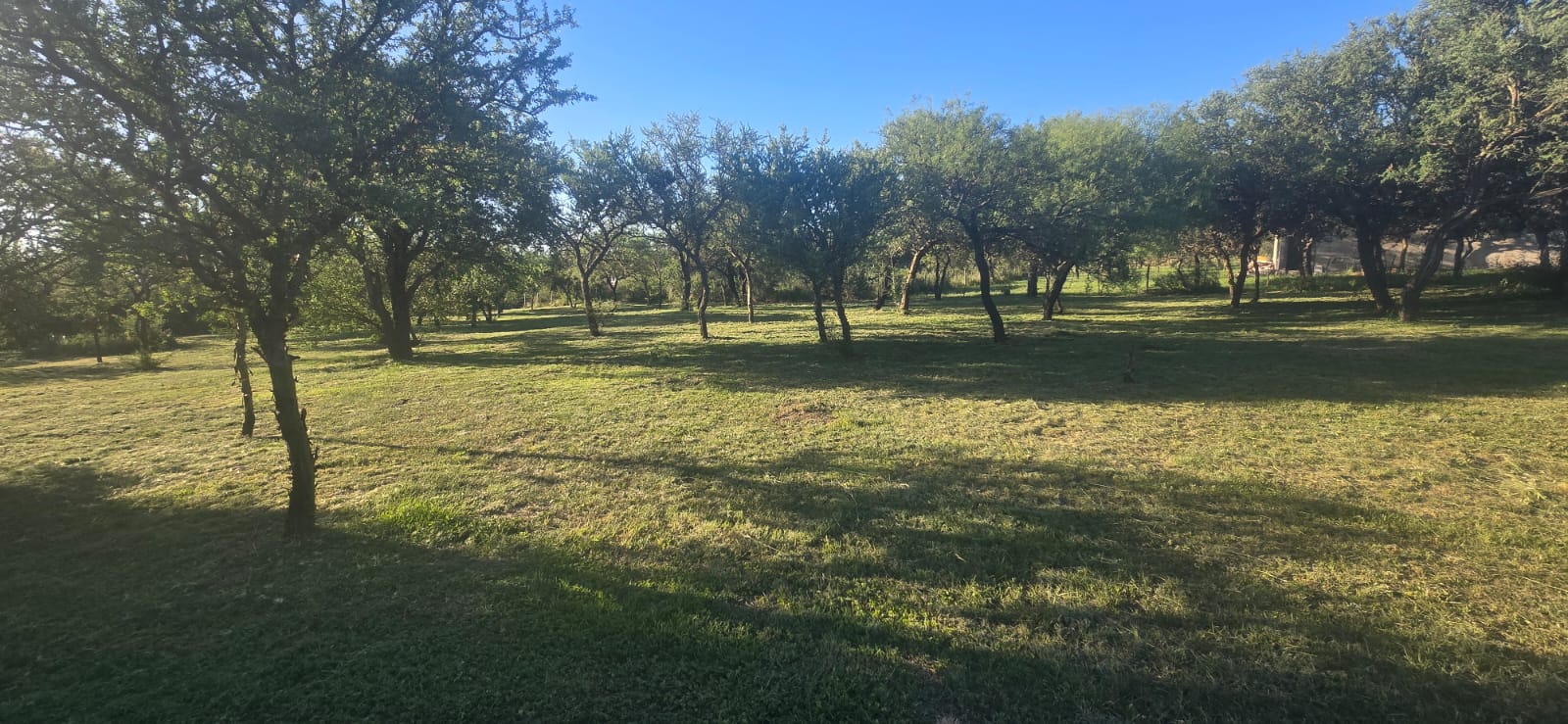 DOS HERMOSOS TERRENOS EN CORTADERAS