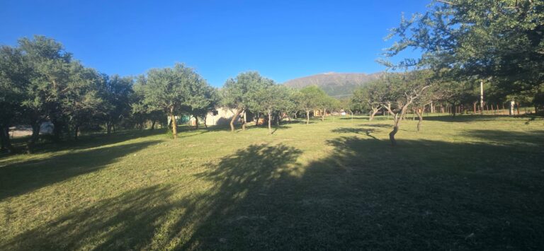 DOS HERMOSOS TERRENOS EN CORTADERAS