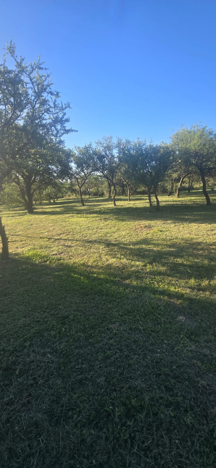 DOS HERMOSOS TERRENOS EN CORTADERAS