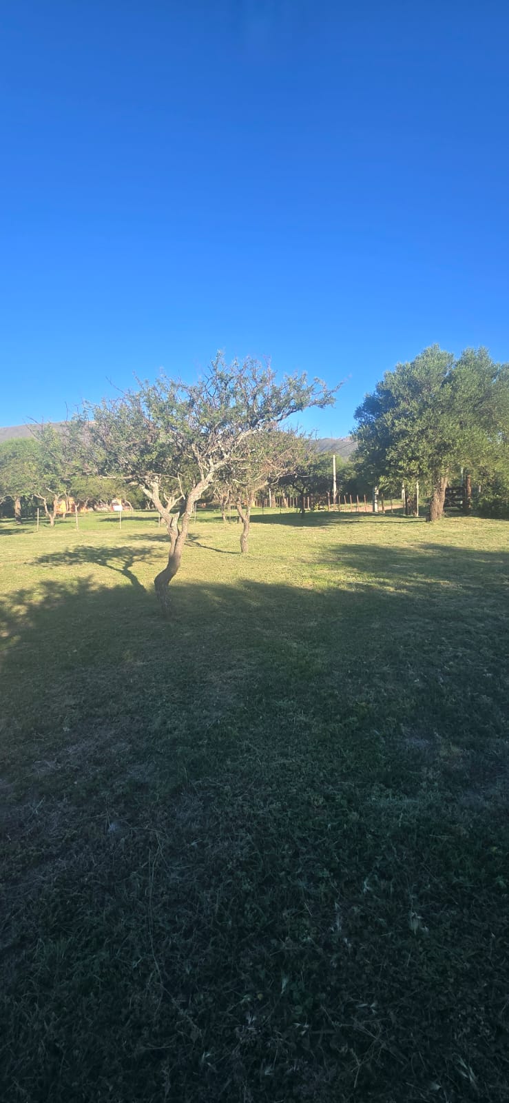 DOS HERMOSOS TERRENOS EN CORTADERAS