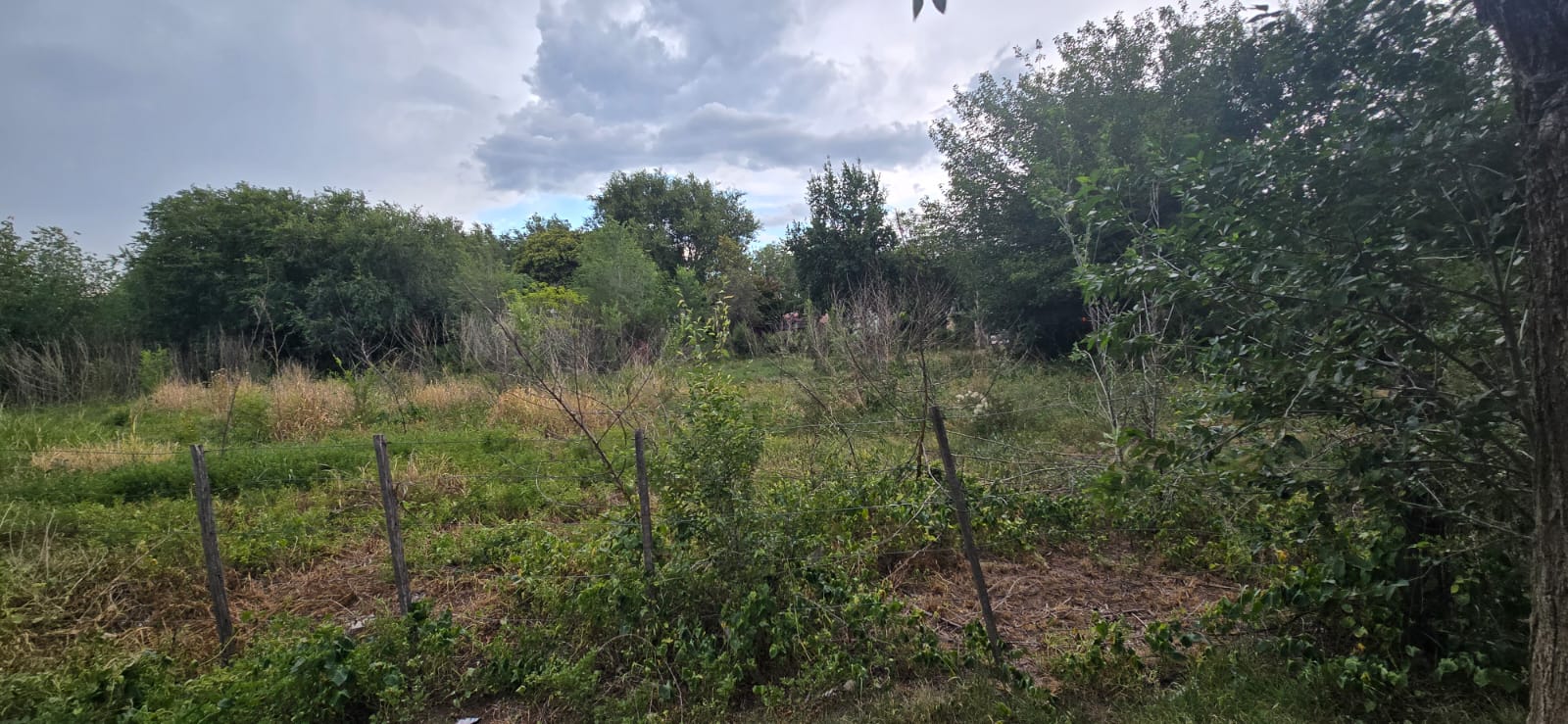 INCREIBLE OPORTUNIDAD COMERCIAL EN CARPINTERIA CENTRO