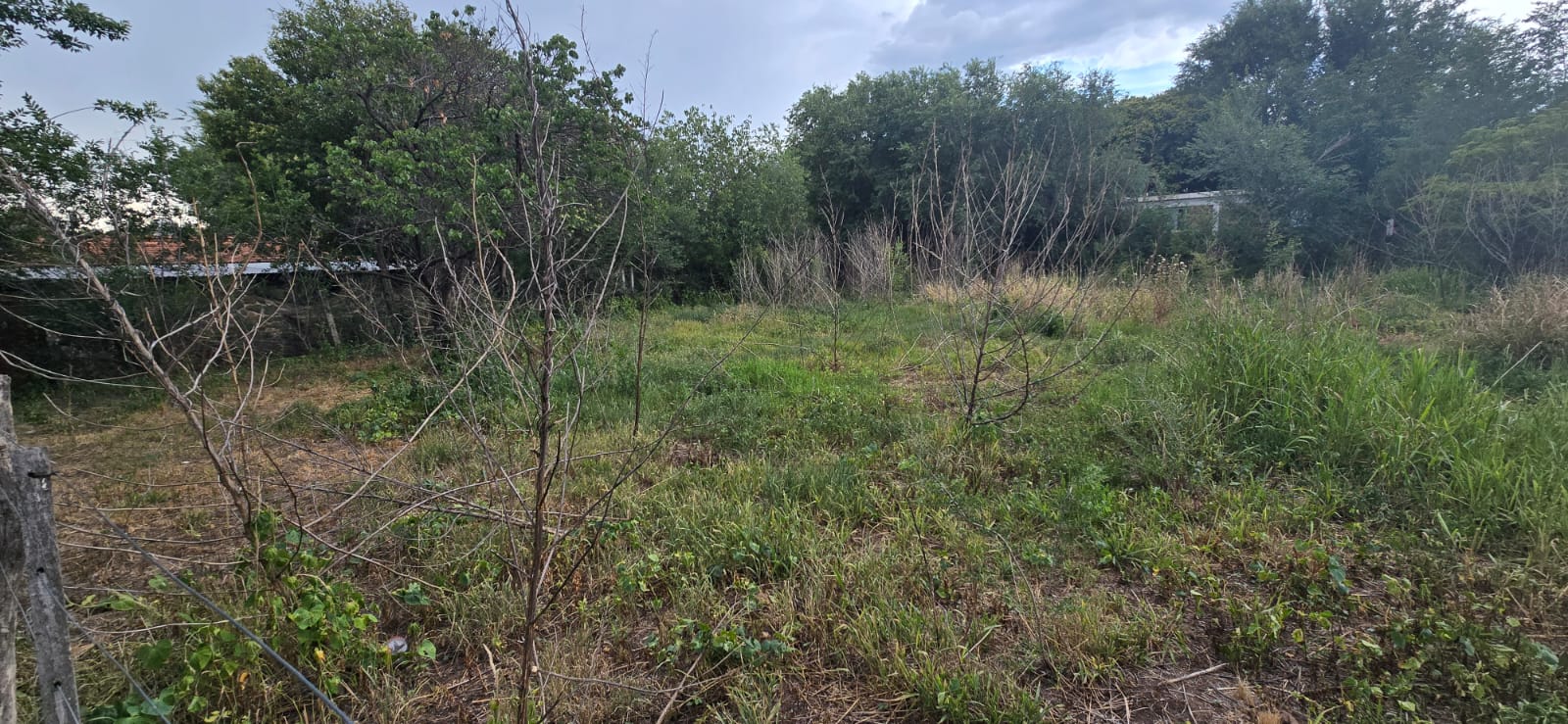 INCREIBLE OPORTUNIDAD COMERCIAL EN CARPINTERIA CENTRO