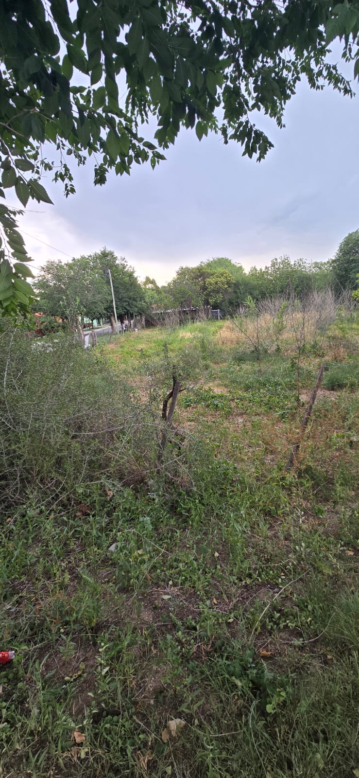 INCREIBLE OPORTUNIDAD COMERCIAL EN CARPINTERIA CENTRO