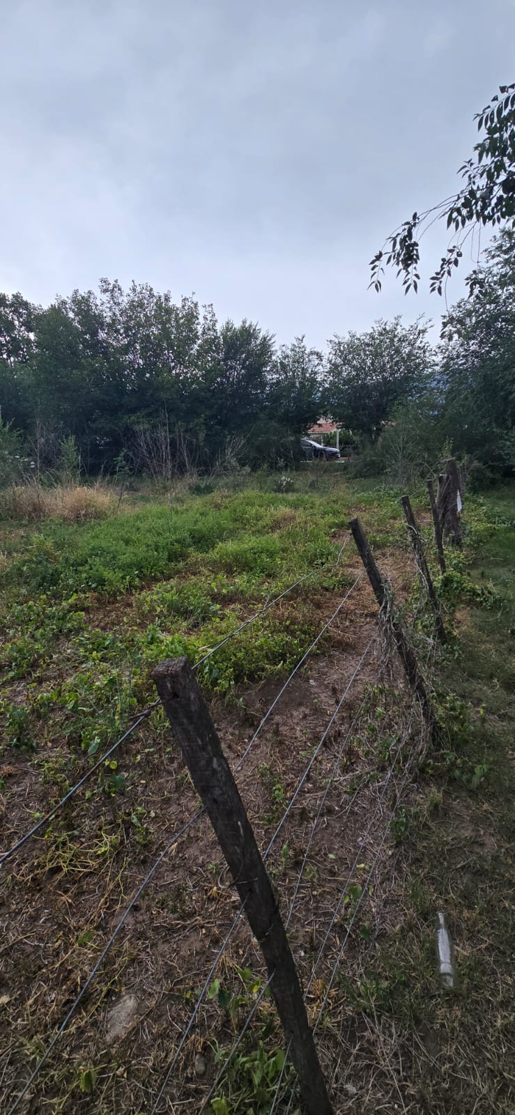 INCREIBLE OPORTUNIDAD COMERCIAL EN CARPINTERIA CENTRO