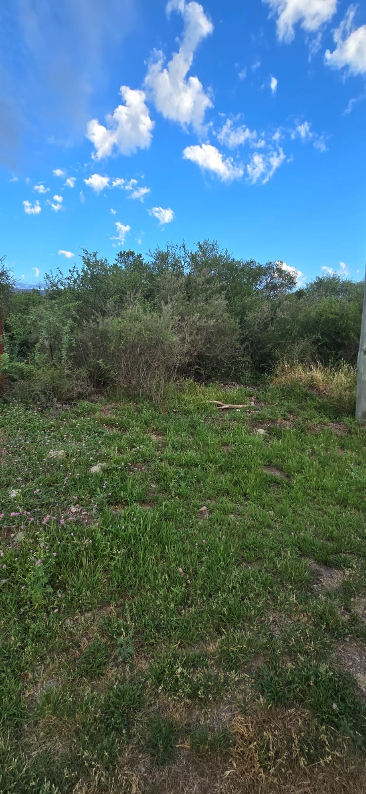 INCREIBLE VALOR LOTE EN MERLO