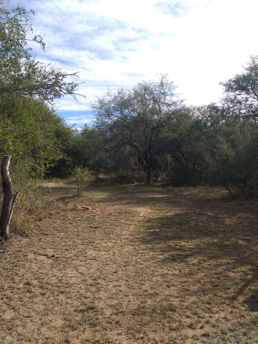 1 HECTAREA EN PIEDRA BLANCA ABAJO | MERLO