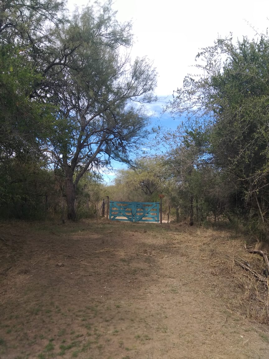 1 HECTAREA EN PIEDRA BLANCA ABAJO | MERLO