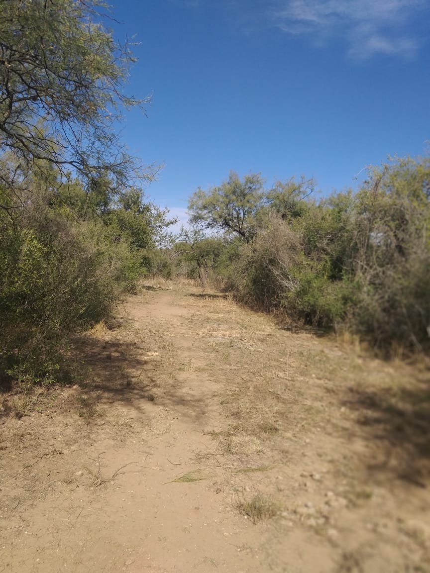 1 HECTAREA EN PIEDRA BLANCA ABAJO | MERLO