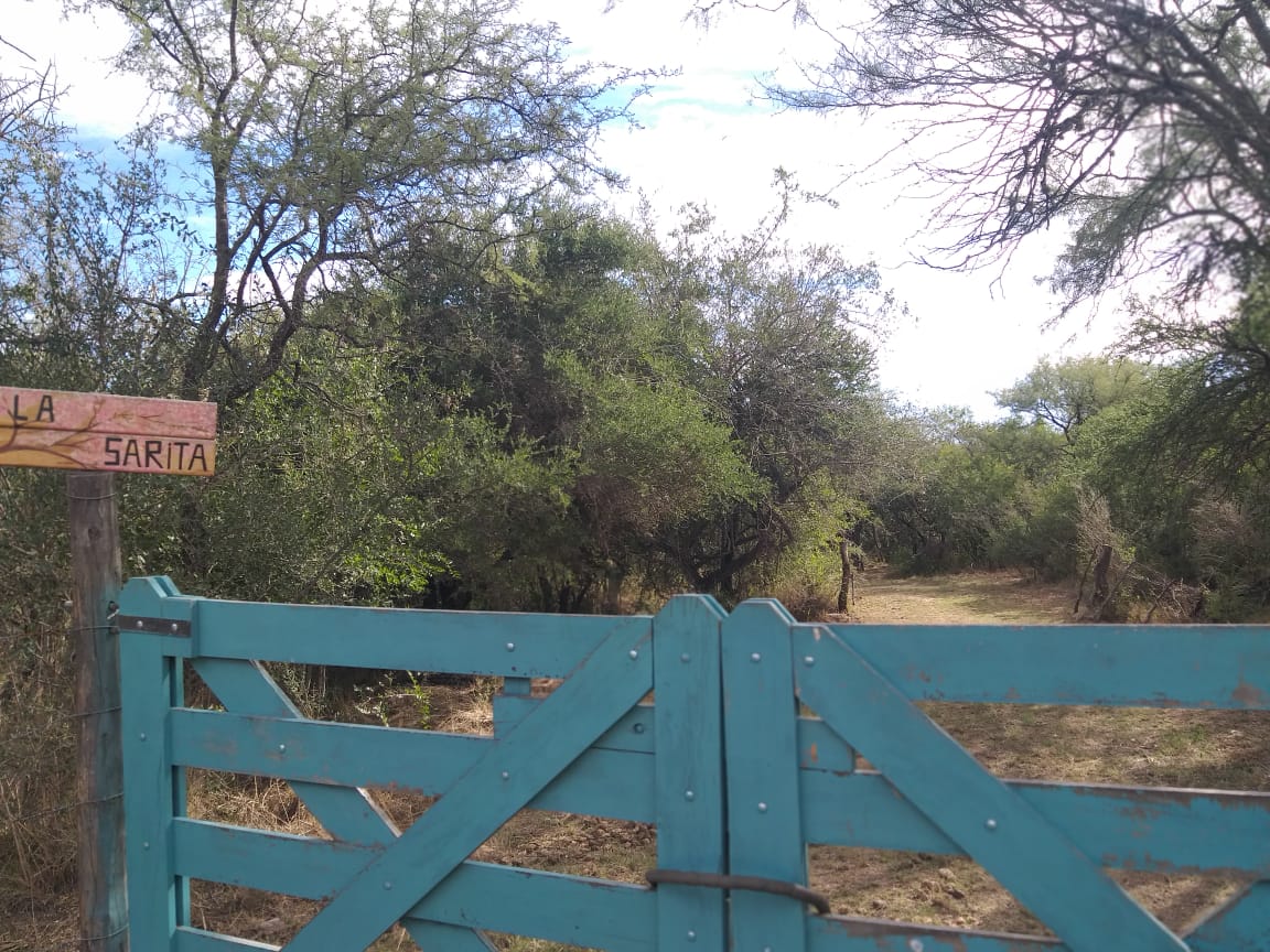 1 HECTAREA EN PIEDRA BLANCA ABAJO | MERLO