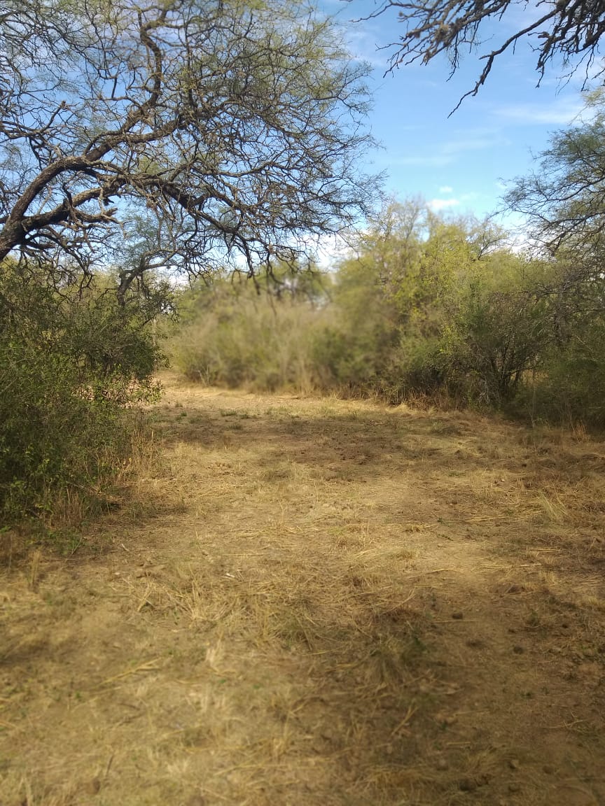1 HECTAREA EN PIEDRA BLANCA ABAJO | MERLO