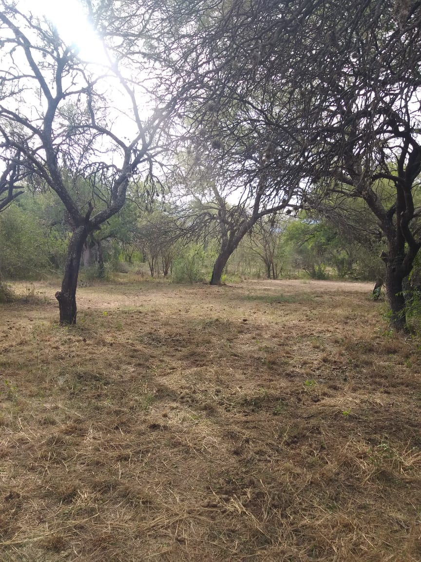 1 HECTAREA EN PIEDRA BLANCA ABAJO | MERLO