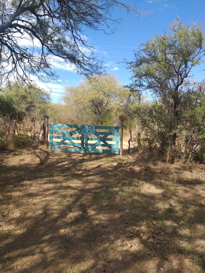 1 HECTAREA EN PIEDRA BLANCA ABAJO | MERLO
