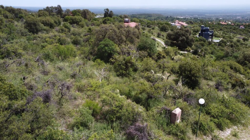 HERMOSO TERRENO EN LOS NOGALES | MERLO