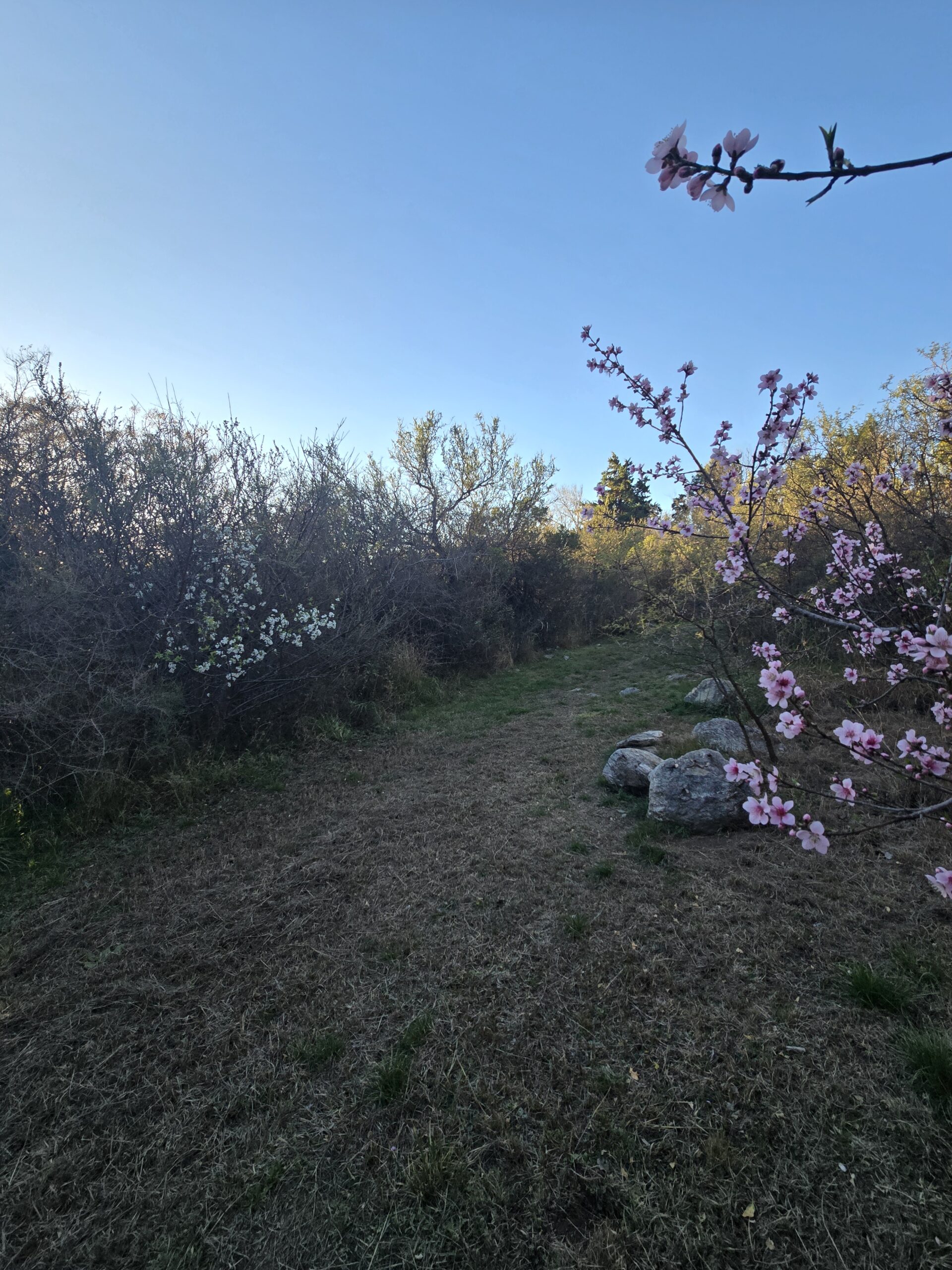 Cabañas en venta en Carpinteria